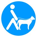 Indicativos Butacas PMR "Ciego"