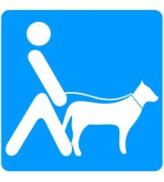 Pictograma PMR "Lazarillo"