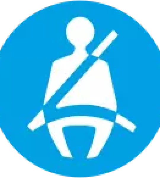 Adhesivos Use el Cinturón