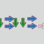 Camino sensorial diversion